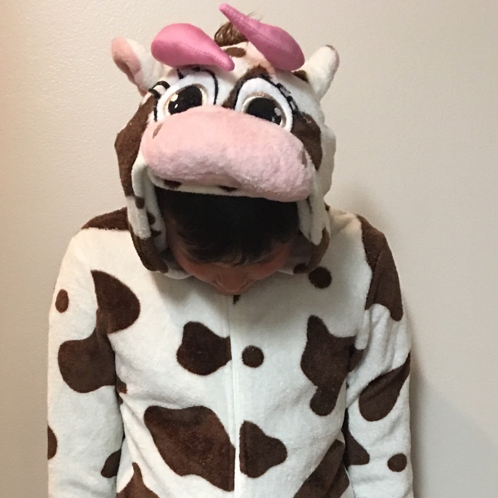 🌵5/$25🌵Secret Treasures women’s xs cow pajamas